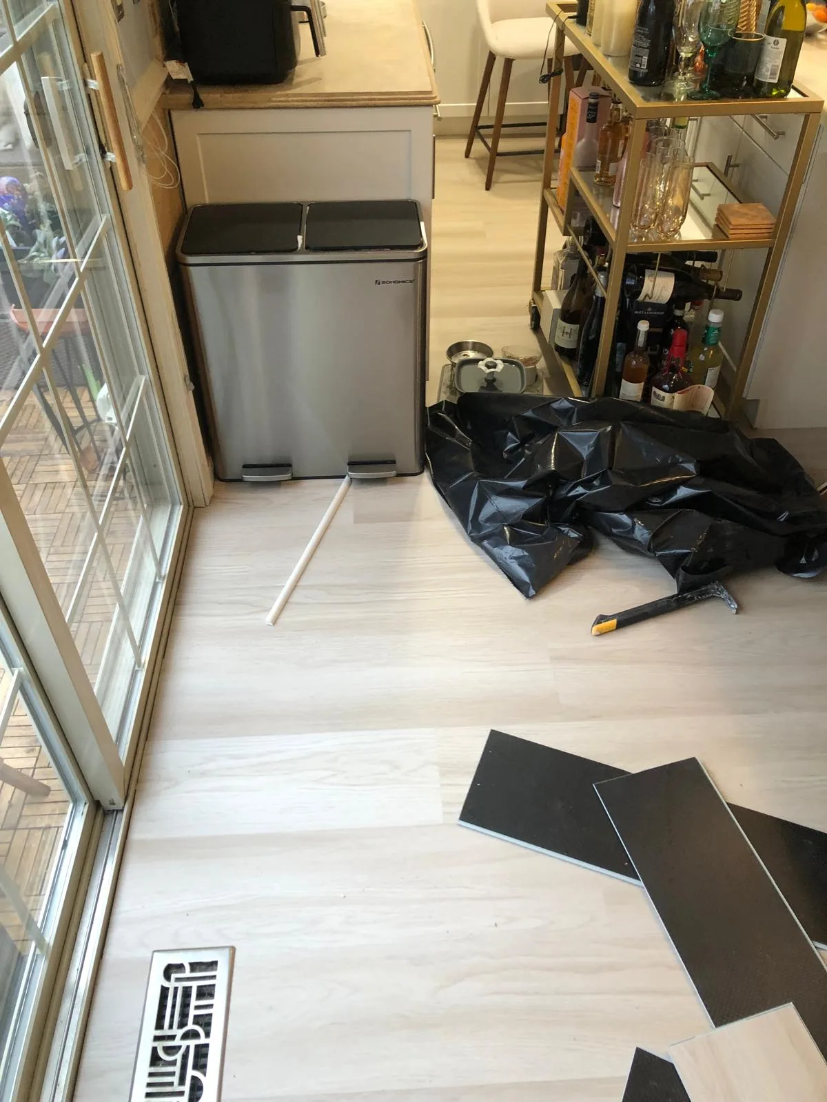 Andre Painter Services